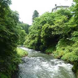 トリップアドバイザー提供