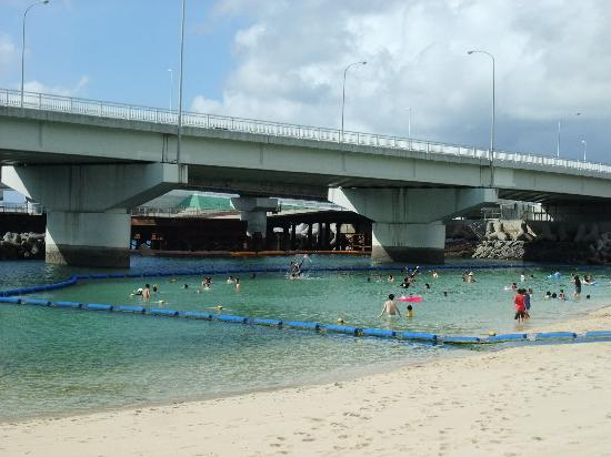 トリップアドバイザー提供