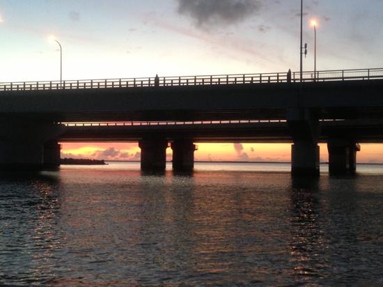 トリップアドバイザー提供