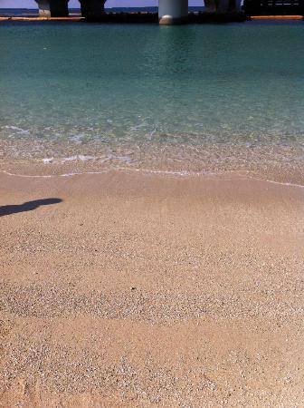 トリップアドバイザー提供