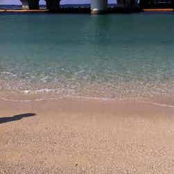 トリップアドバイザー提供