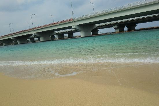 トリップアドバイザー提供