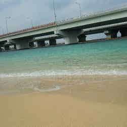 トリップアドバイザー提供