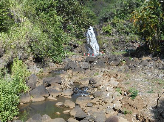 トリップアドバイザー提供