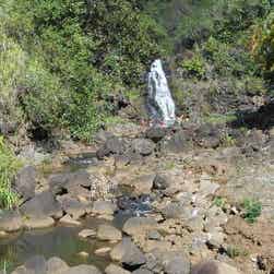 トリップアドバイザー提供