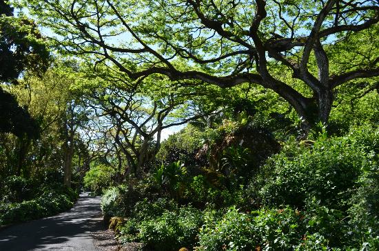 トリップアドバイザー提供