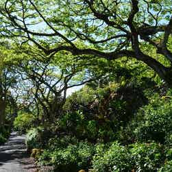 トリップアドバイザー提供