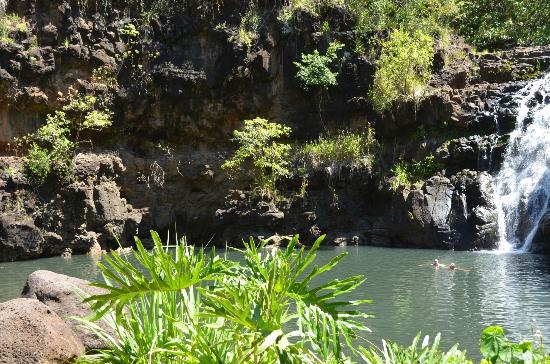 トリップアドバイザー提供