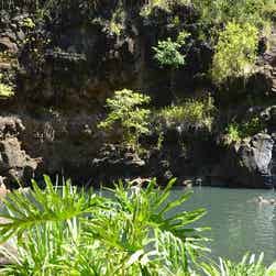 トリップアドバイザー提供