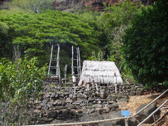 トリップアドバイザー提供