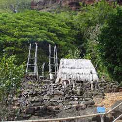 トリップアドバイザー提供