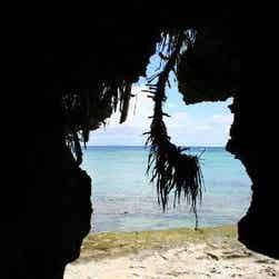 トリップアドバイザー提供