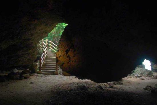 トリップアドバイザー提供