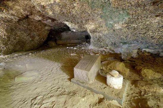 トリップアドバイザー提供