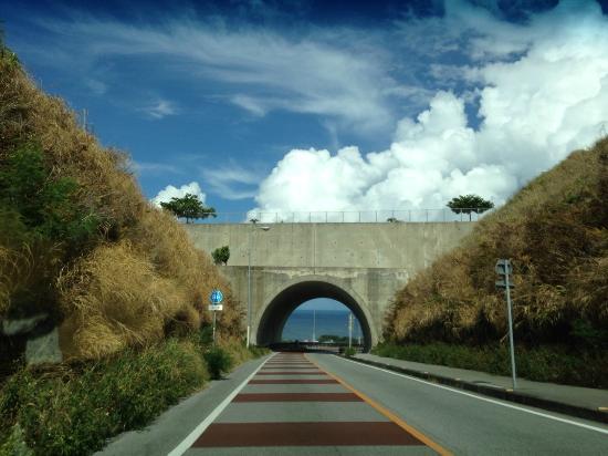 トリップアドバイザー提供