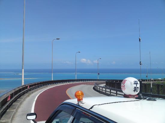 トリップアドバイザー提供