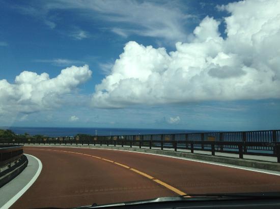 トリップアドバイザー提供