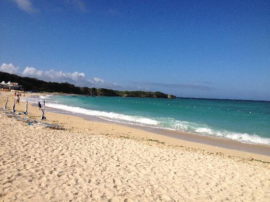 トリップアドバイザー提供