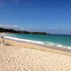 トリップアドバイザー提供