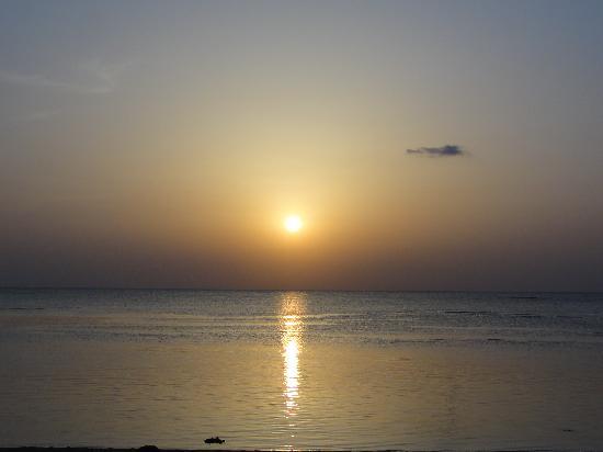 トリップアドバイザー提供