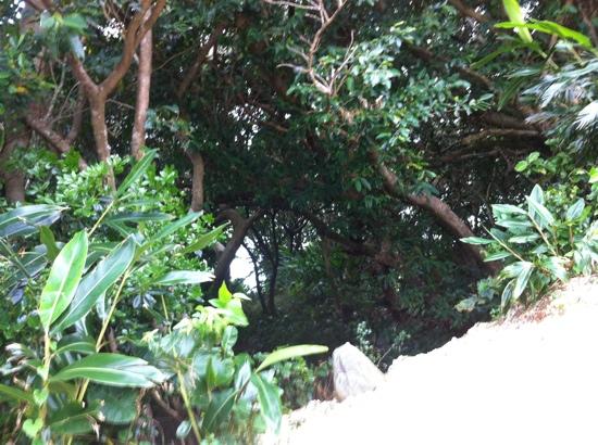 トリップアドバイザー提供