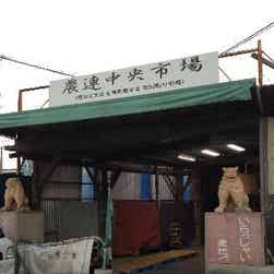 トリップアドバイザー提供