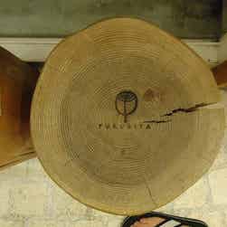 トリップアドバイザー提供