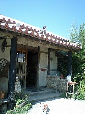 トリップアドバイザー提供