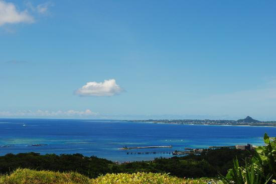 トリップアドバイザー提供