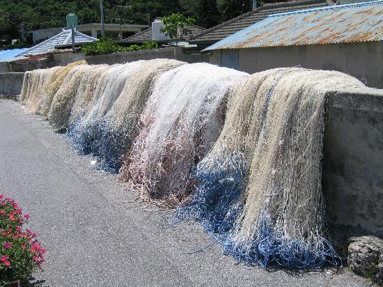 トリップアドバイザー提供