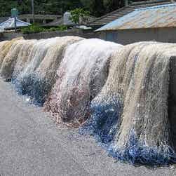 トリップアドバイザー提供