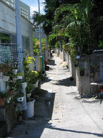 トリップアドバイザー提供