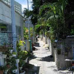 トリップアドバイザー提供