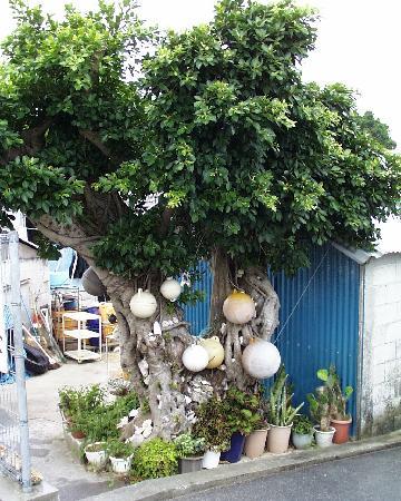 トリップアドバイザー提供