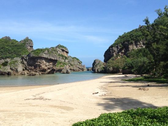 トリップアドバイザー提供