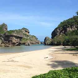 トリップアドバイザー提供