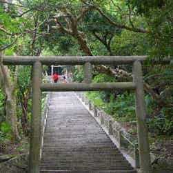 トリップアドバイザー提供