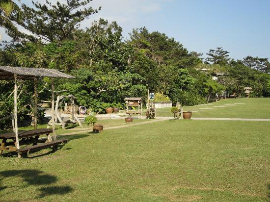 トリップアドバイザー提供