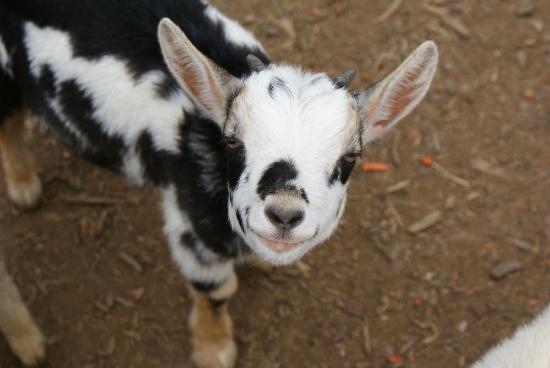 トリップアドバイザー提供