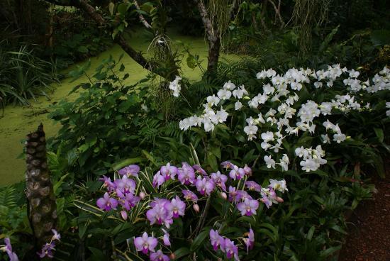 トリップアドバイザー提供