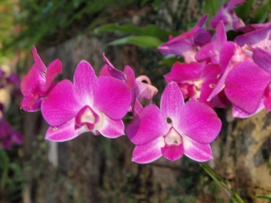 トリップアドバイザー提供