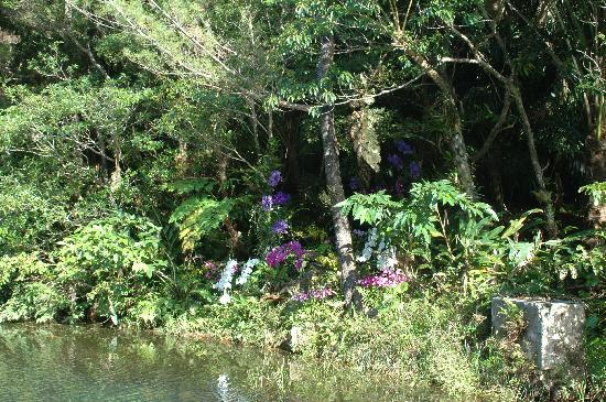 トリップアドバイザー提供