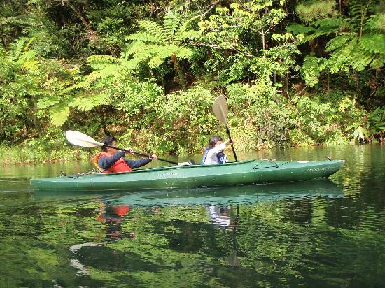トリップアドバイザー提供