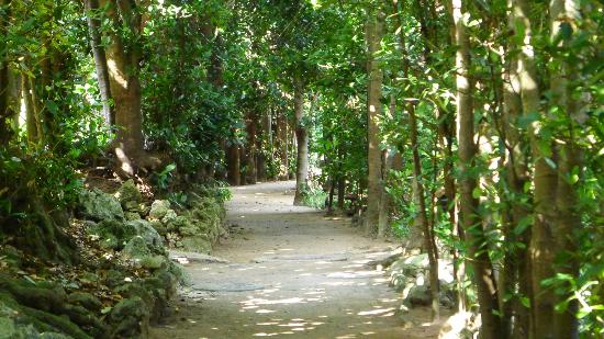 トリップアドバイザー提供