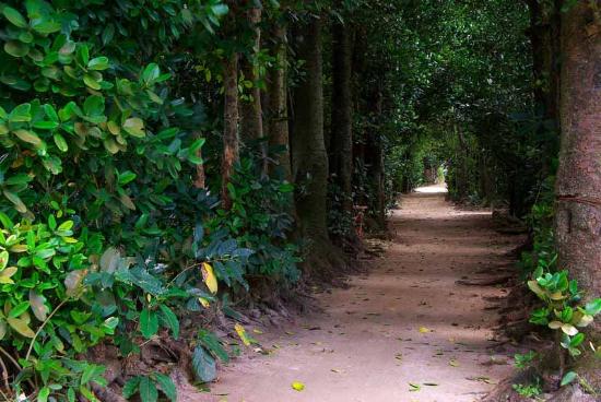 トリップアドバイザー提供