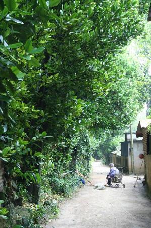 トリップアドバイザー提供