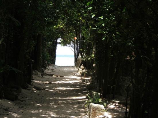 トリップアドバイザー提供