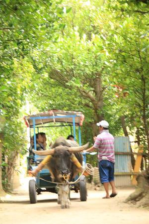 トリップアドバイザー提供
