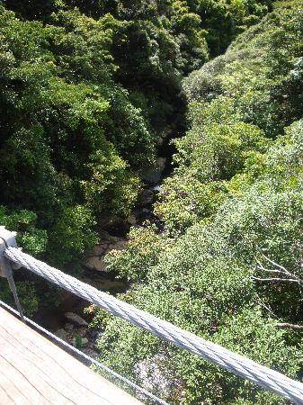 トリップアドバイザー提供