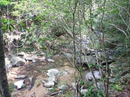 トリップアドバイザー提供